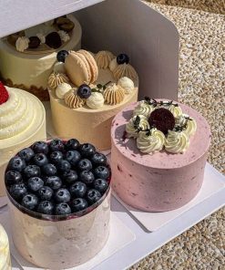 Assorted Mini Fresh Cream Cakes